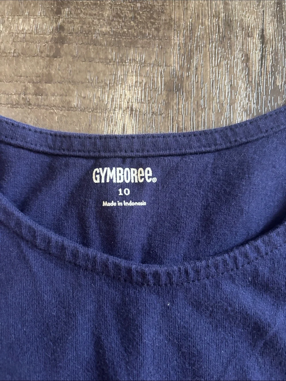 Gymboree Navy Tee with Pink Bicycle Graphic and shorts